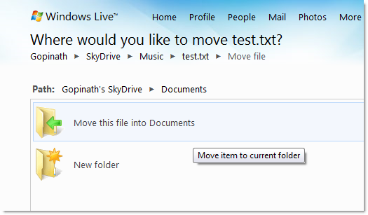 WIndows_Live_Sky_Drive_Moving_Files_3