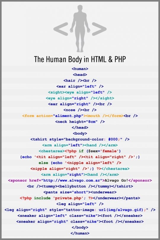 human_body_as_html