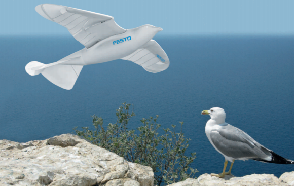 robotic_seagull